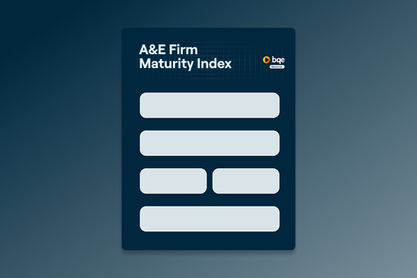 BQE CORE - Firm Maturity Index - Icon