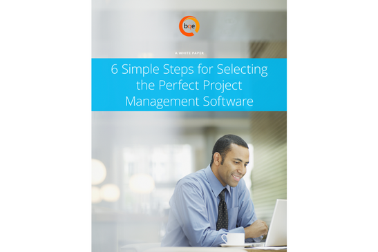 Asset-6-Simple-Steps-for-Selecting-the-Perfect-Project-Management-Software