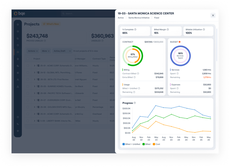 Project Progress Snapshot (1)